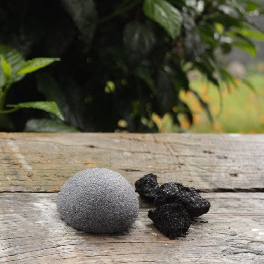 Activated Charcoal Konjac Sponge (for oily or acne prone skin)-1