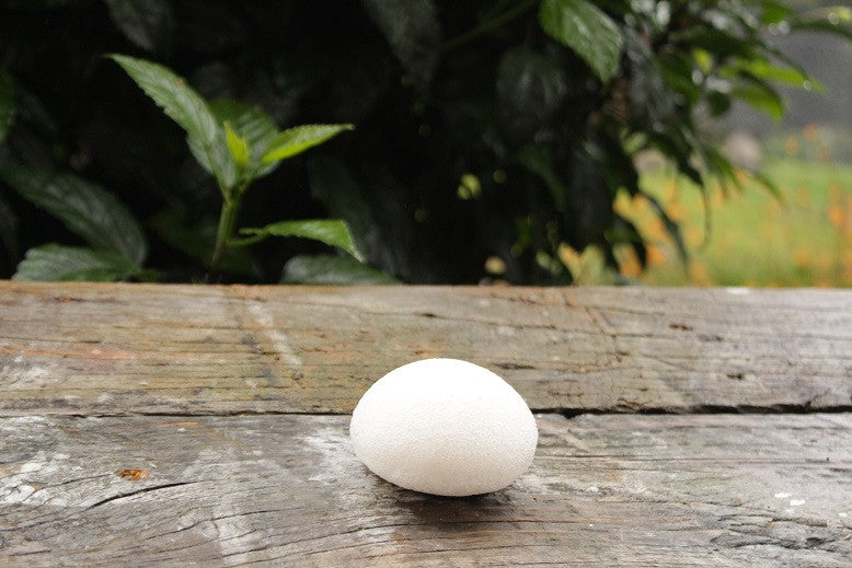 Natural Konjac Sponge-1